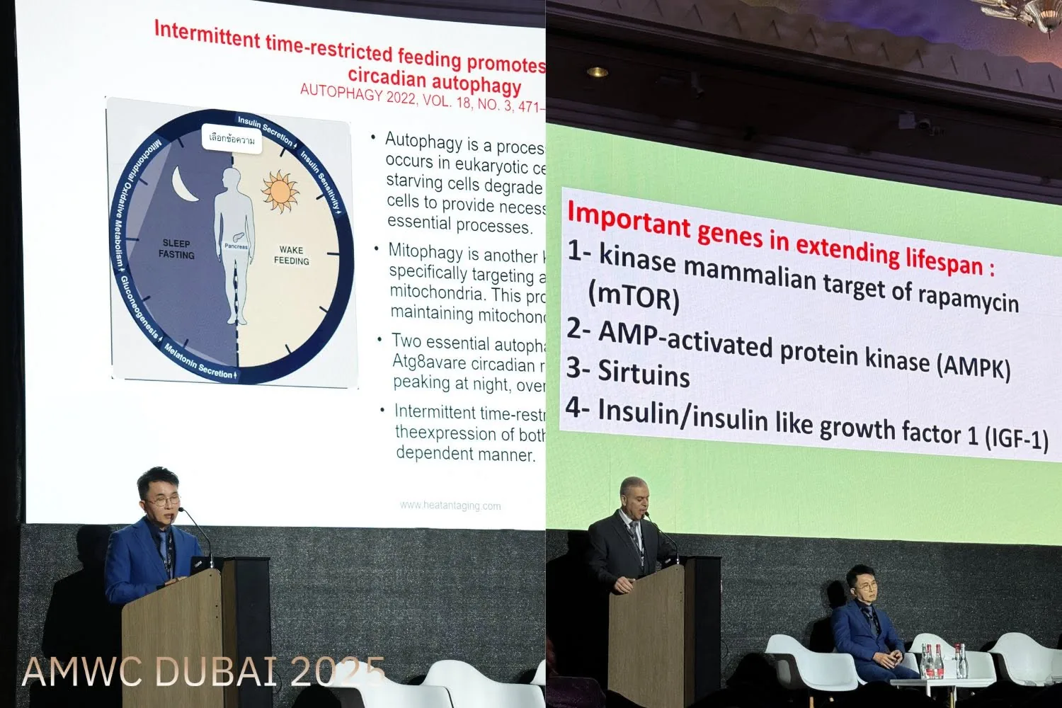 AMWC Dubai 2025 — Aesthetic & Anti-Aging Medicine World Congress