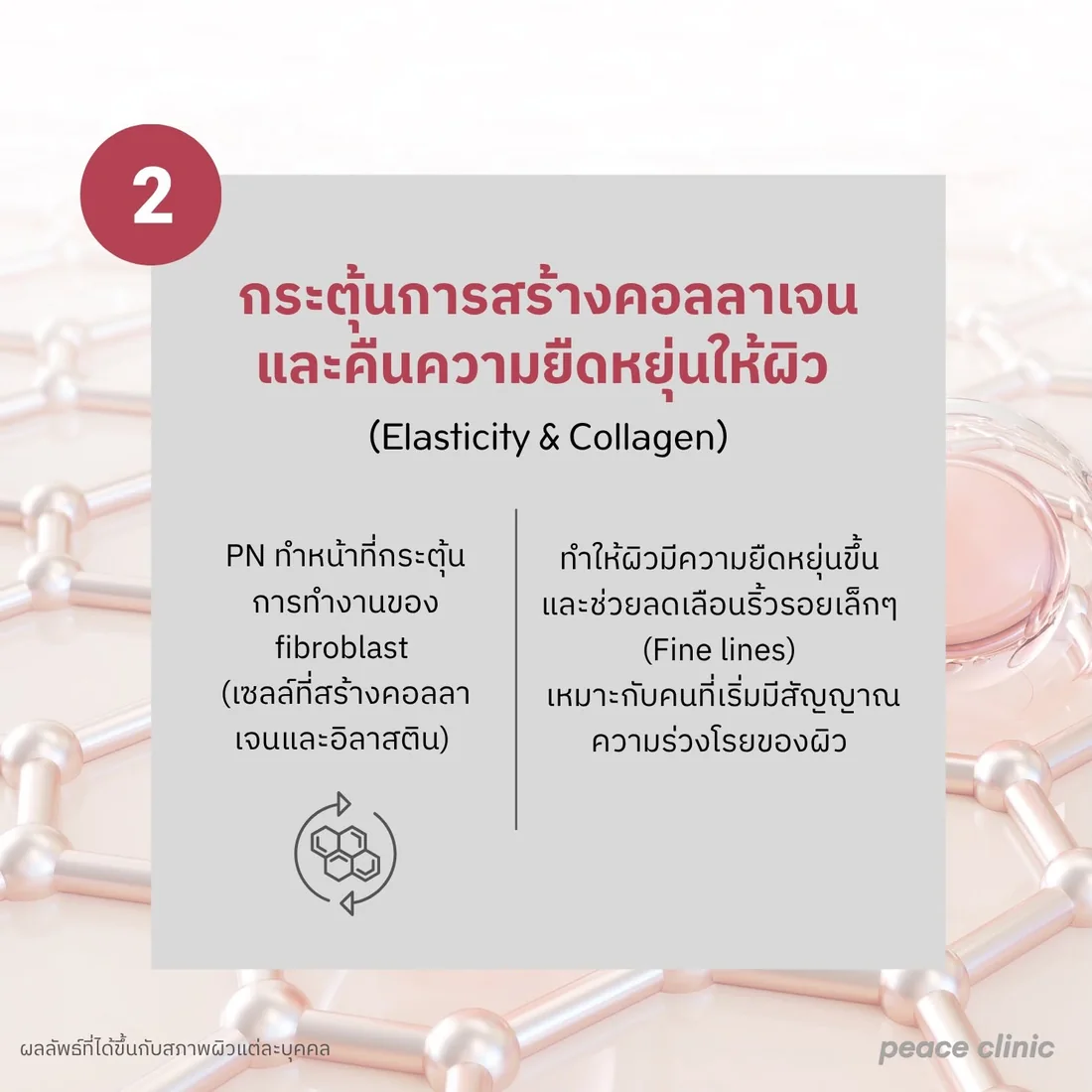 PN กระตุ้นการทำงานของ fibroblast เซลล์ที่สร้างคอลลาเจนและอิลาสติน ทำให้ผิวยืดหยุ่นขึ้นและช่วยลดเลือนริ้วรอยเล็ก ๆ