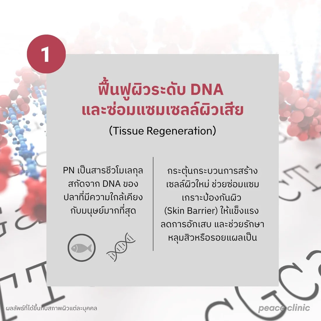 PN เป็นสารชีวโมเลกุลสกัดจาก DNA ของปลาที่ใกล้เคียงมนุษย์ กระตุ้นการสร้างเซลล์ผิวใหม่ ซ่อมเกราะป้องกันผิว ลดการอักเสบ และช่วยรักษาหลุมสิวหรือรอยแผลเป็น